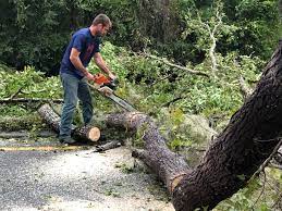 Best Seasonal Cleanup (Spring/Fall)  in Rshfield Hills, MA